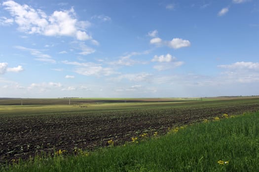 rural landscape: field under blue sky