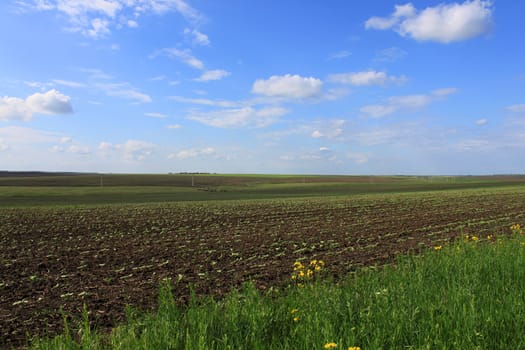 rural landscape