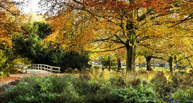 View to entrance of park in autumn with bridge and old red beechtree