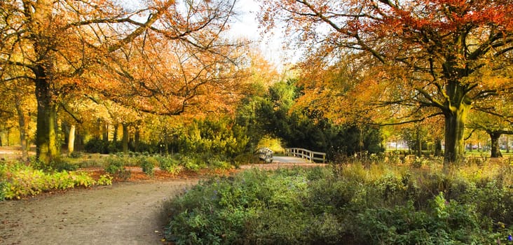 Panorama entrance of park in autumn with bridge and old red beechtree