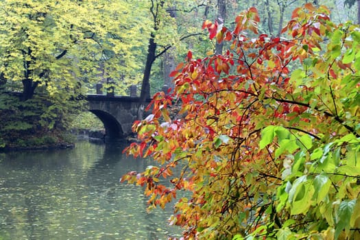 bridge over river in autumnal park