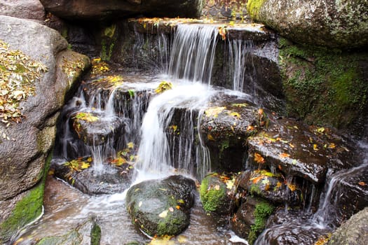 cascade in an autumnal park