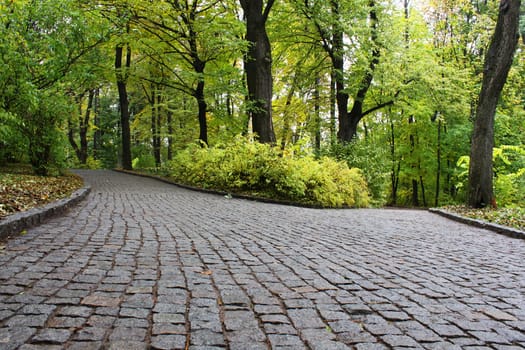fork of the road in park