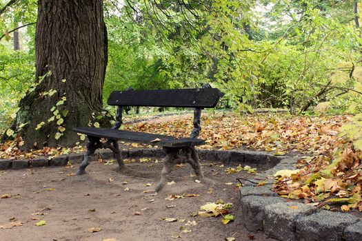 bench in an autumnal park