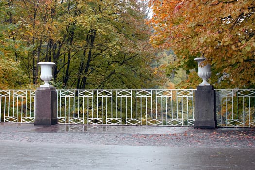 autumnal park