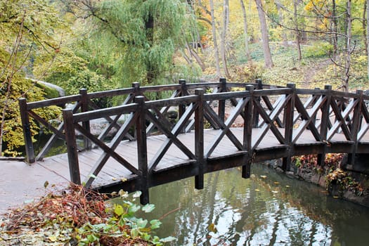 wooden bridge in park