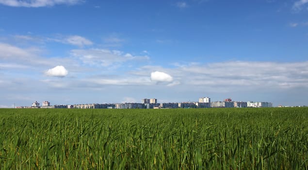 view on town behind wheat field