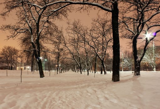 avenue in town at winter night
