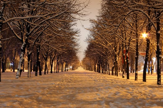 avenue in town at winter night