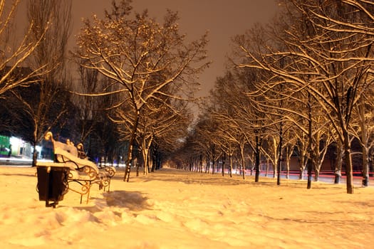 avenue at winter night