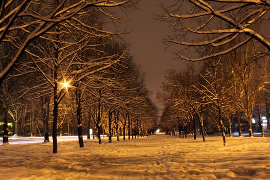 avenue in town at winter night