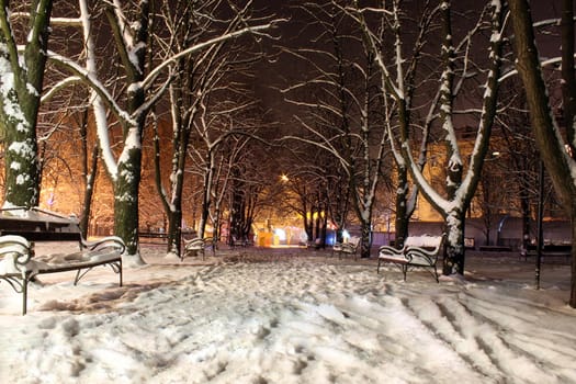 park at winter night