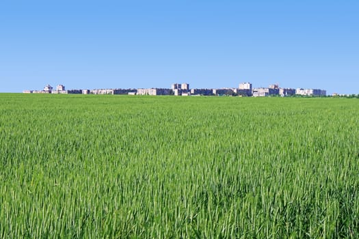 town behind wheat field