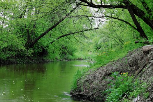 riverside at spring