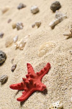 At the beach