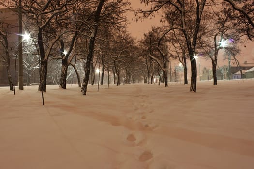 avenue at winter night