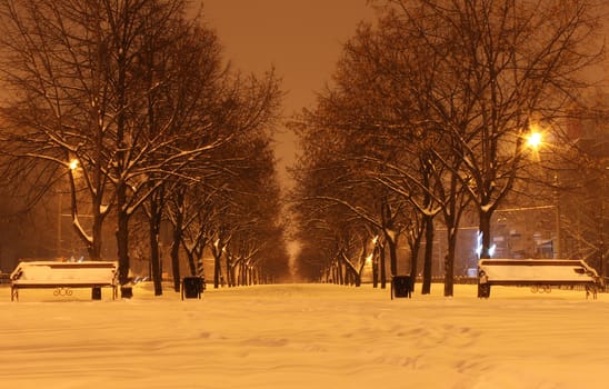 avenue at winter night