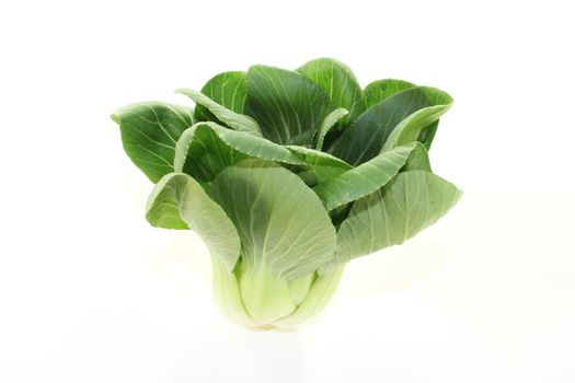 crisp white and green pak choi on a light background