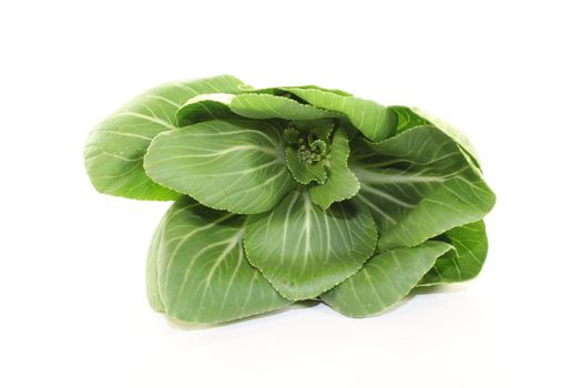 raw white and green pak choi on a light background