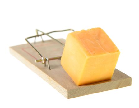 A set mouse trap with cheddar cheese, isolated on a white background.