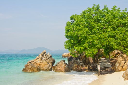 stone and tree by the sea at Kham island, Cholburi, Thailand