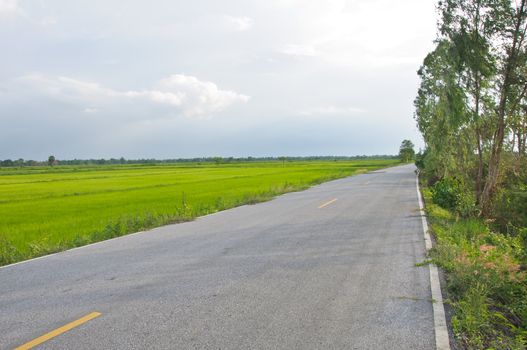 Road through the green field, Pijit, Thailand