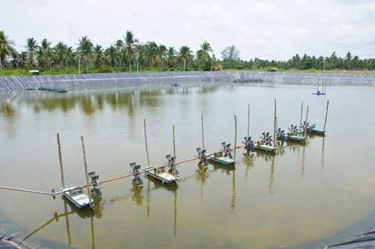 The aeration turbines in the shrimp farm for fresh water