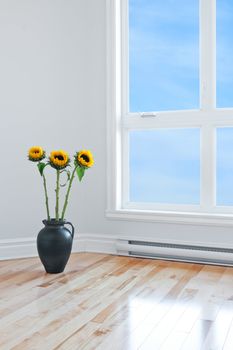 Sunflowers in a vase, decorating an empty room with big window.