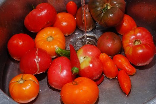 fresh tomatoes and peppers for a vegetable salad