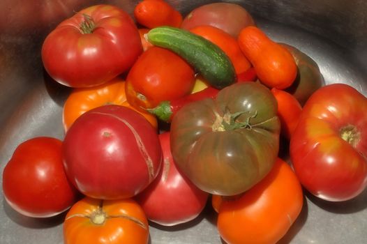 fresh tomatoes and peppers for a vegetable salad