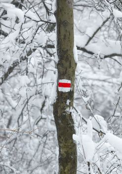 Hiking trail sign in winter