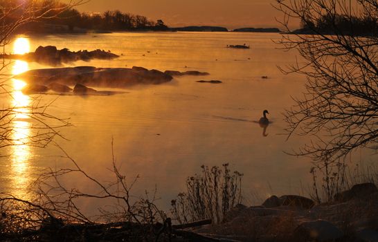 Scenic sunrise at the coast in wintertime with some birds in the open water