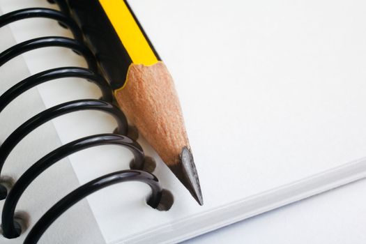 Pencil detail and copy space