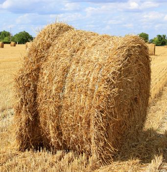 a haystack in a field of culture