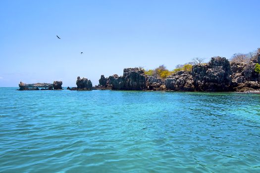 Untouched nature at Mafia Island in Tanzania