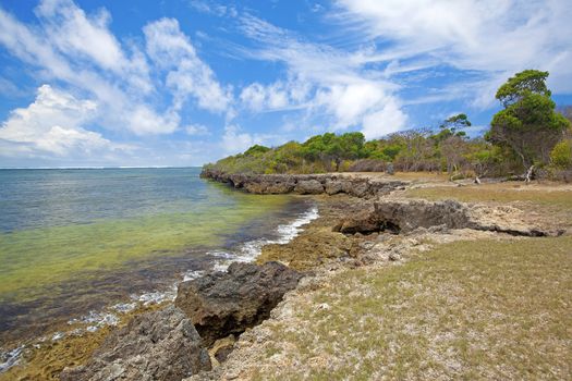 Untouched nature at Mafia Island in Tanzania