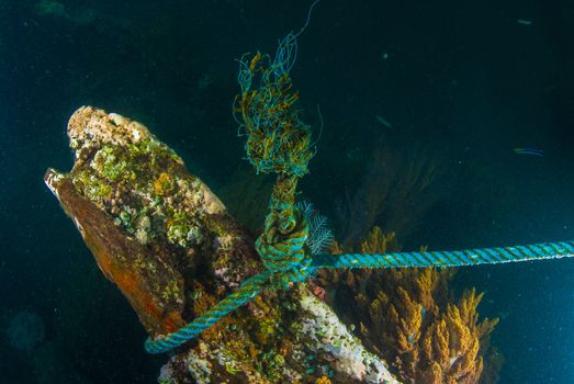 World War II shipwreck underwater in Bali