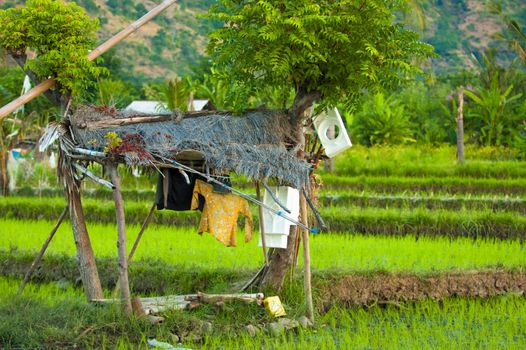Hut with drying laundry in a Bali rice field