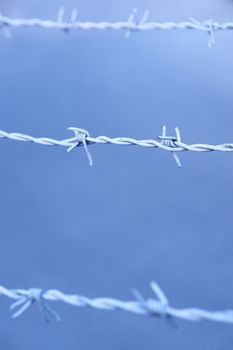 close-up of a security barbed wire fence close-up of a security barbed wire fence