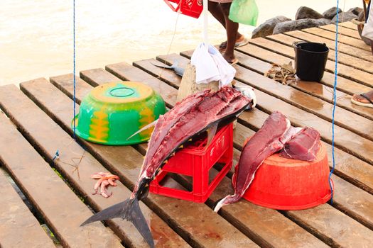 Fresh fish and fisherman in Santa Maria, Sal Island, Cape Verde africa