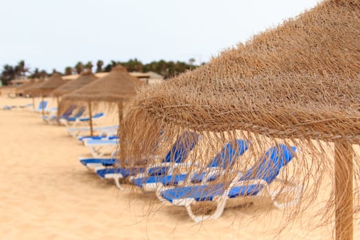 palapa sun roof beach umbrella in cape verde sal