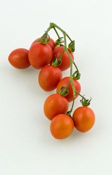 Tomatoes on the vine