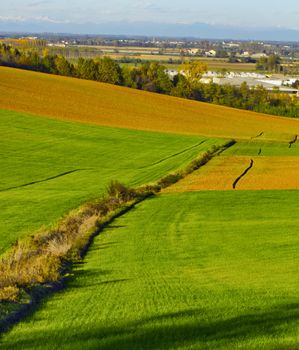 Landscape of fields with different colors and town on the background