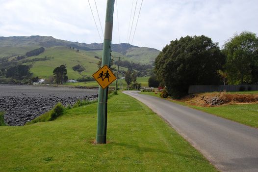 Yellow road sign in village road, Banks Peninsula, New Zealand