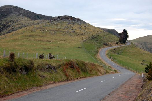 Hilly road and fence in Banks Peninsula, New Zealand