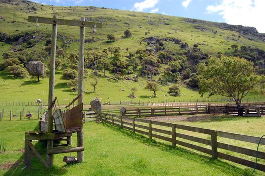 Cattle pen on the farm, Banks Peninsula, New Zealand