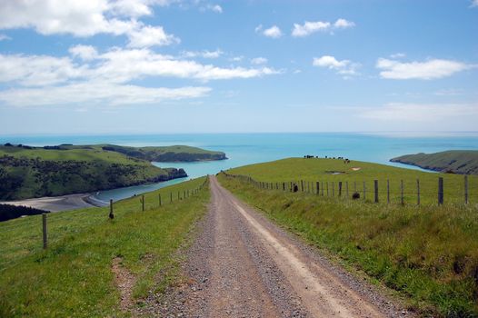 Gravel road between fence in farmland, Banks Peninsula, New Zealand