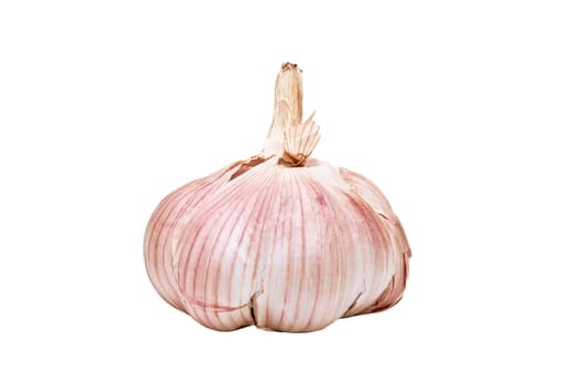 Bulb head of garlic isolated on the white background.