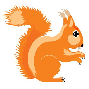 Illustration of the squirrel on white background is insulated