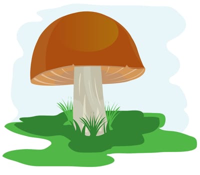 Illustration of the mushroom on green glade